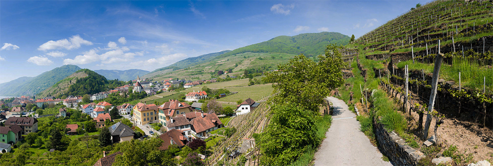 Região vinícola de Wachau, Niederöstereich - imagem Austrian Wines