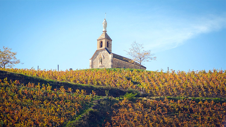 A capela da Madonna, no alto da colina, cercada de vinhedos em Fleurie