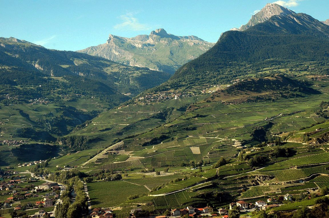 Vista aérea da região vinícola do Valais