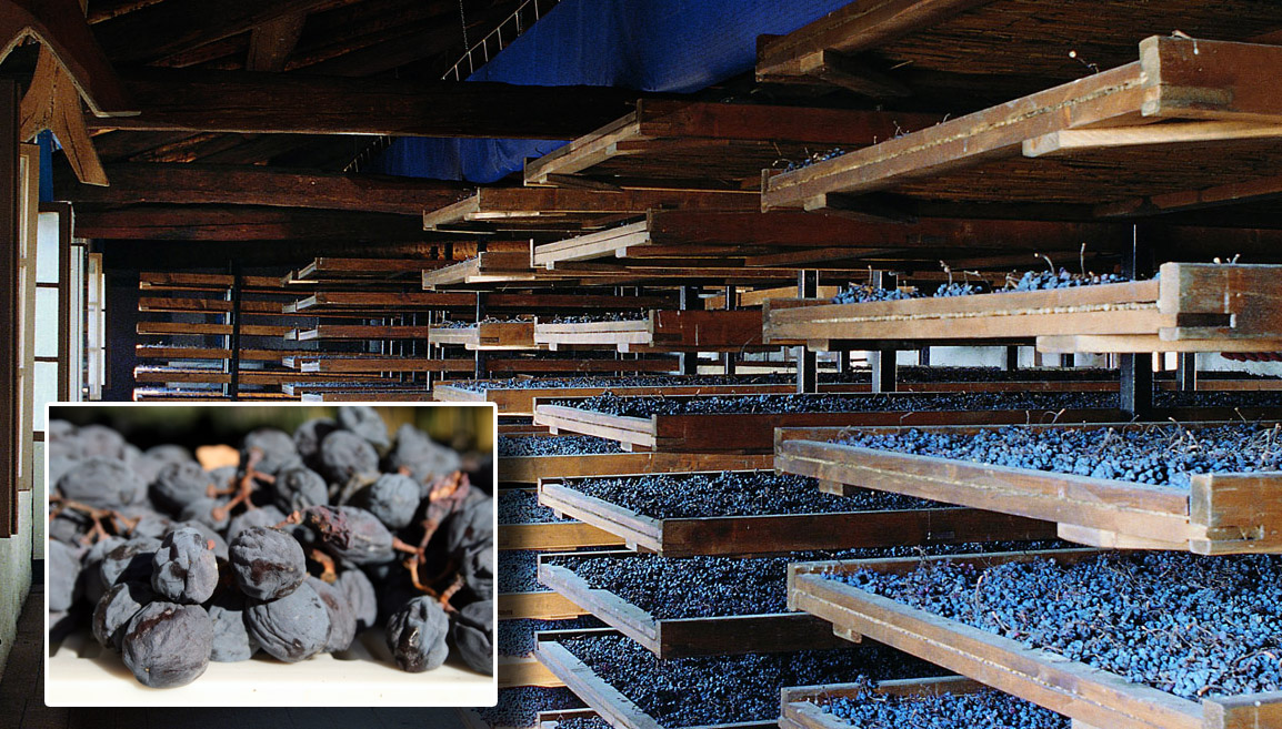 As uvas do Amarone durante o processo de secagem e a aparência ao final do apassimento (foto Masi)
