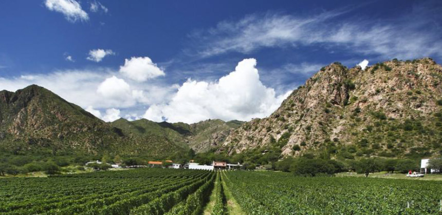 Uma planície de altitude típica da vinicultura argentina (Wines of argentina)