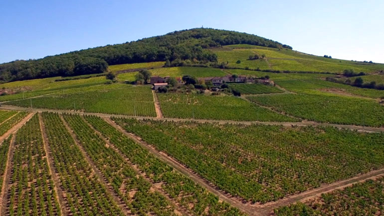 A Côte de Brouilly engloba apenas os vinhedos situados nas encostas do Monte Brouilly