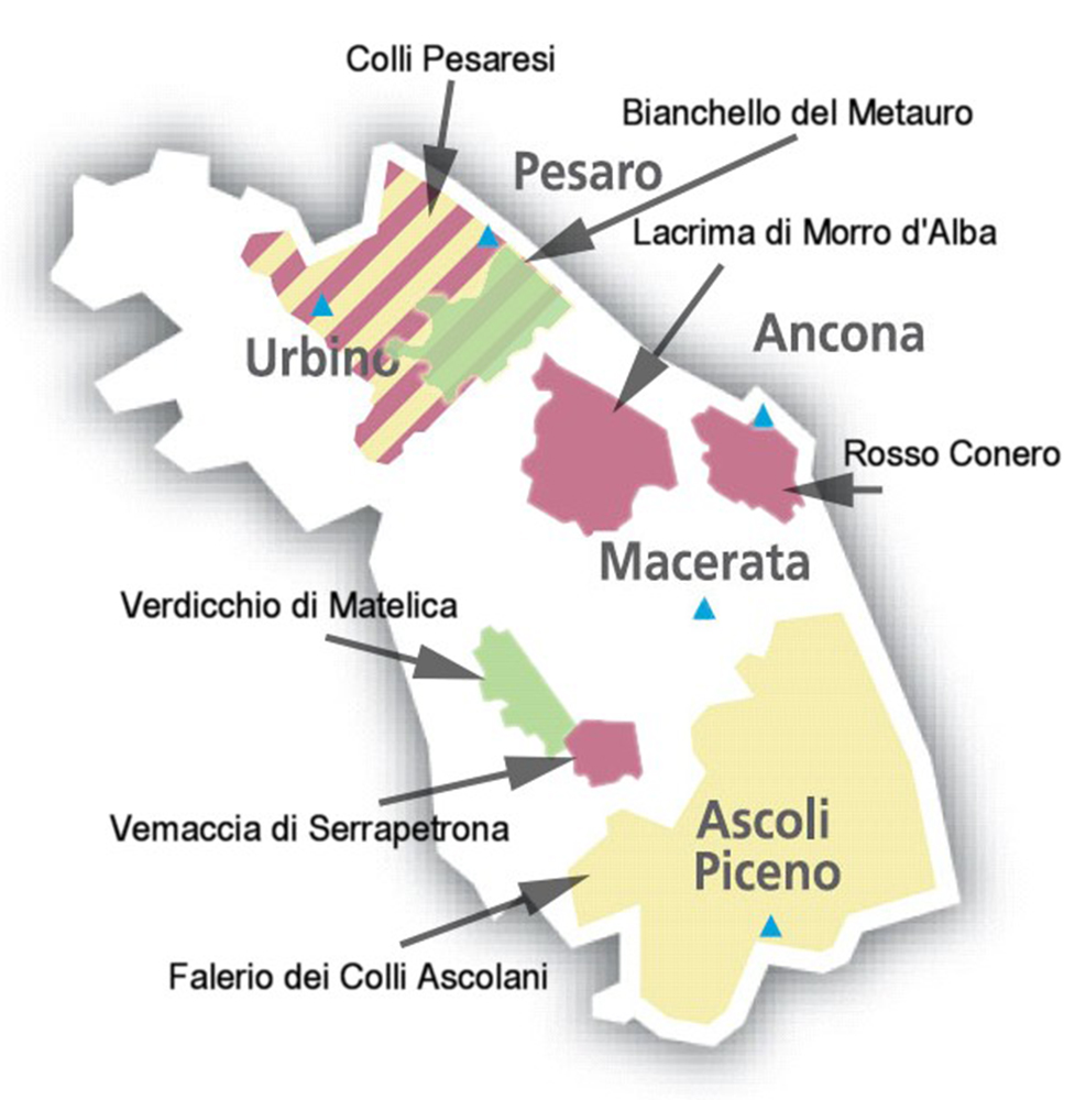 Mapa vinícola de Marche
