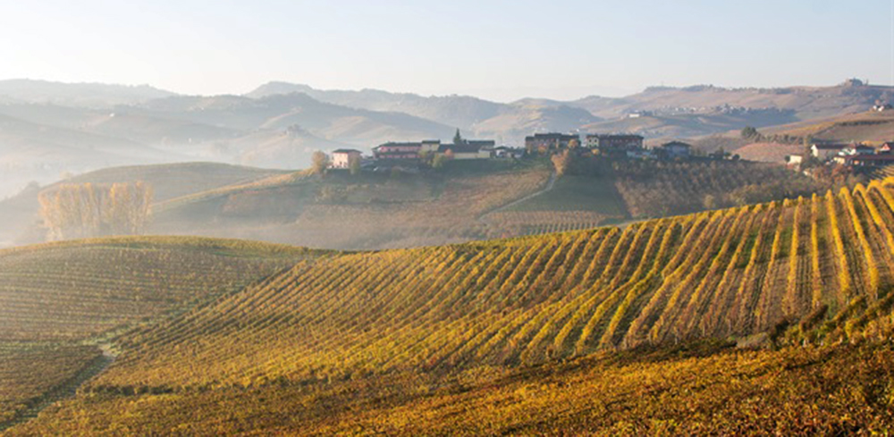 A neblina (nebbia) matinal característica da região do Piemonte deu nome à uva Nebbiolo